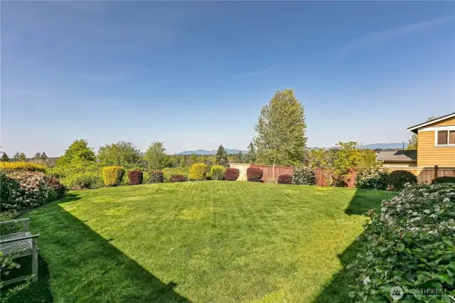 Large back yard
