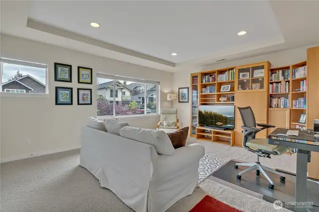Bonus room or large bedroom