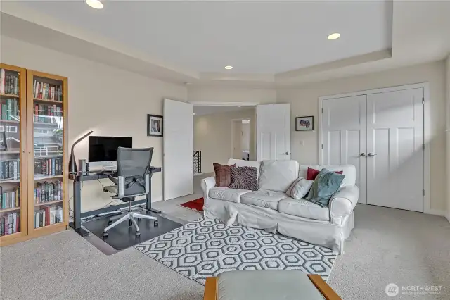 Bonus room or large bedroom