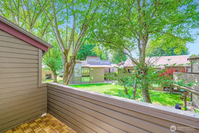 Balcony Overlooking Tree Tops in Park-Like Courtyard