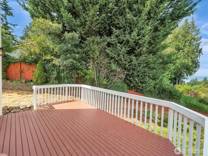 Back Deck