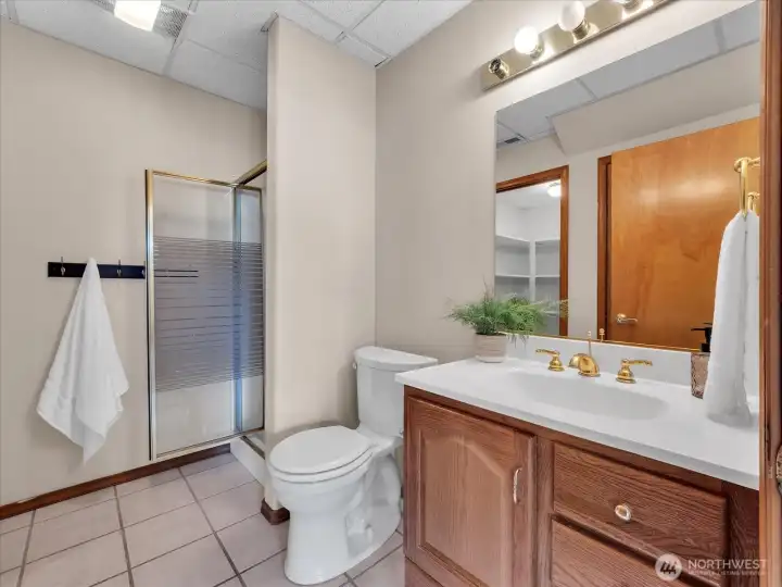 Lower level Bath
