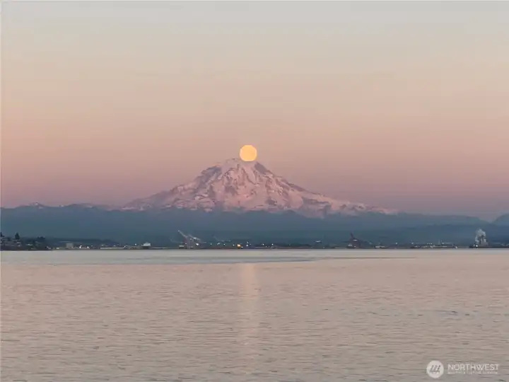Spectacular views of Mt Rainier