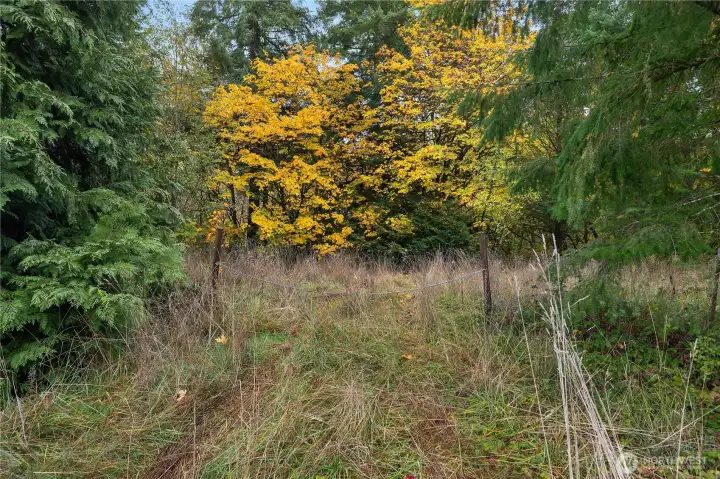 For even more privacy - build here - the lower building site!