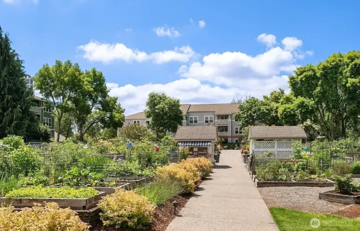 Enjoy gardening with your friends from the community.