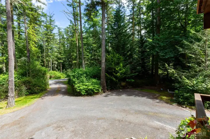 Driveway with abundant off street parking