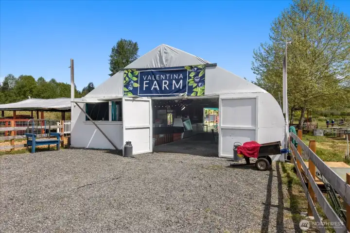 Welcome to your new seasonal blueberry farm!