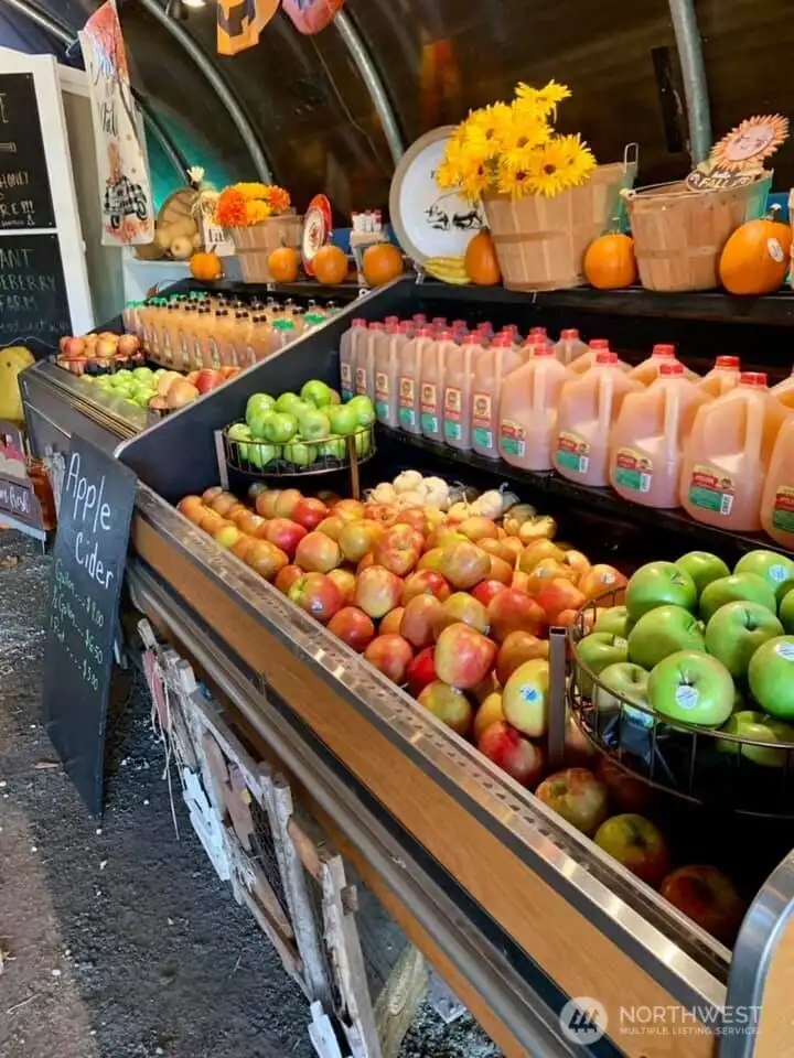 This was a photo from the original listing/FB that shows other things you can do during the Fall at the farm.