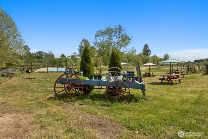vintage wagon perfect to display blueberry shrubs for sale, etc