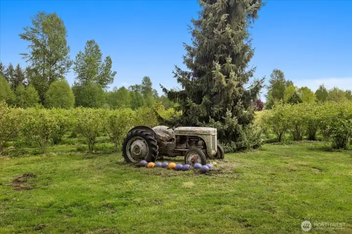 Entrance to the farm w/vintage tractor, great photo op