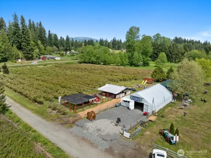 You can see the main road w/the early blueberries that are typically ready first in mid to late June.
