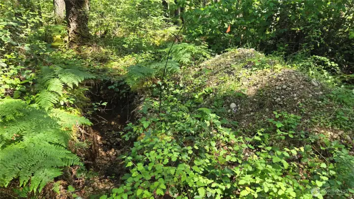 one of four perk holes on North portion of the property. one of four perk holes on North portion of the property.