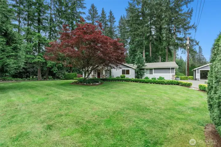 Beautiful level front lawn