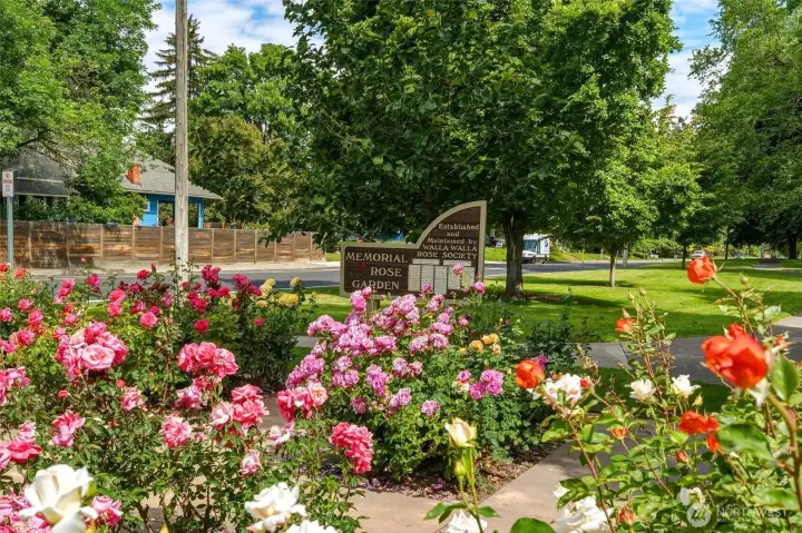 Pioneer Park Pioneer Park