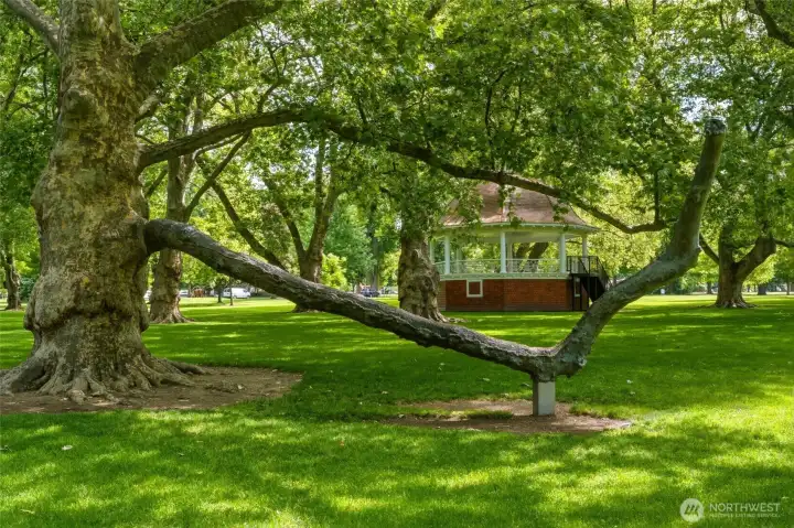 Pioneer Park Pioneer Park