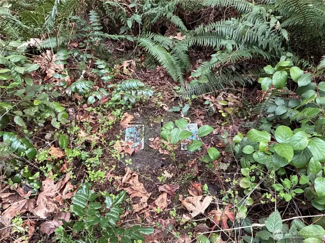 Water at property