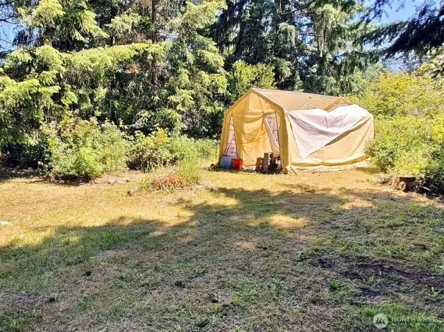 back yard