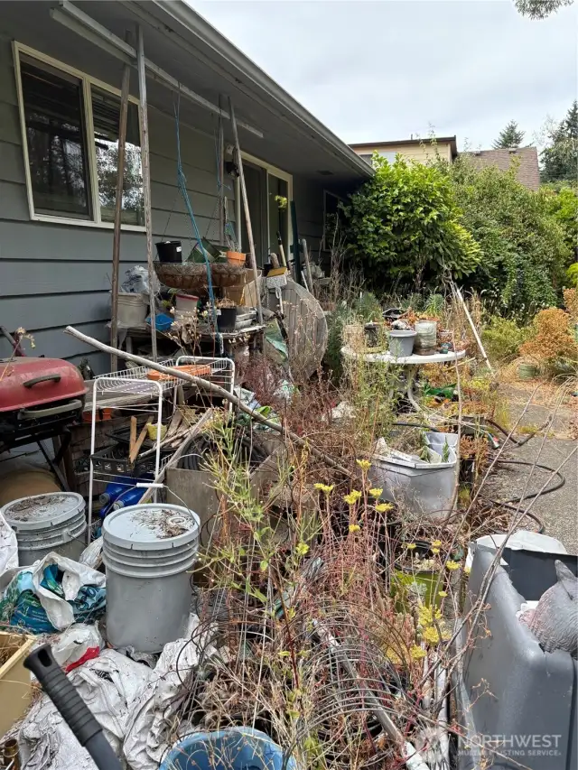 Back steps to yard