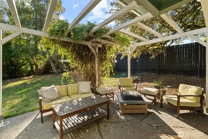 Back patio with arbor