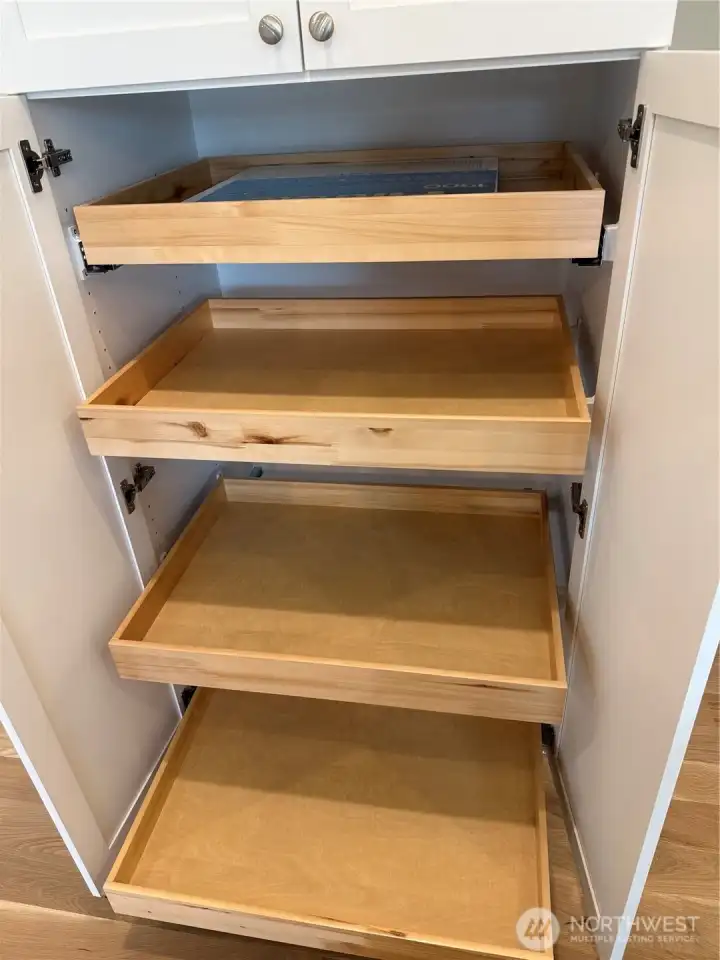 Built in pantry with soft closing pull out shelving and doors