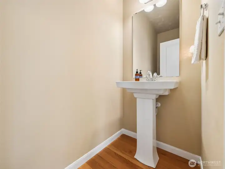 Powder room downstairs