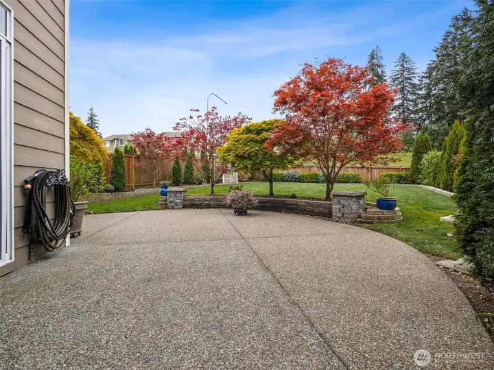 Backyard patio