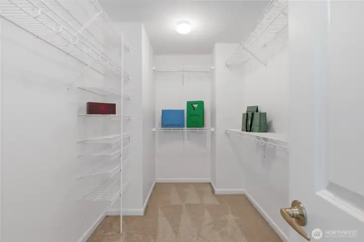 Large walk-in closet off the primary! Large walk-in closet off the primary!