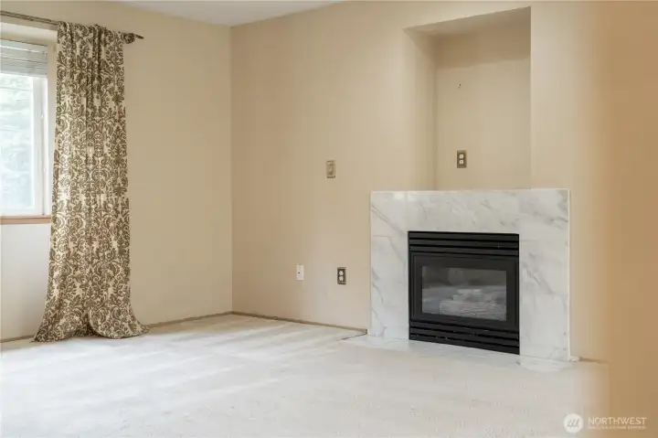 Gas Fireplace Gas Fireplace