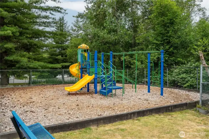 Community Park Community Park