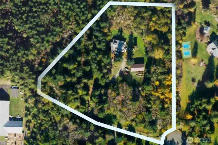 Your Private Forest