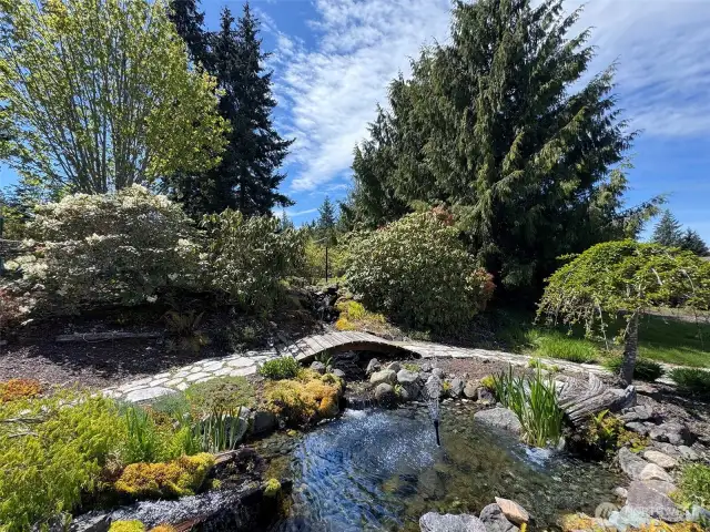 Water feature & Waterfall