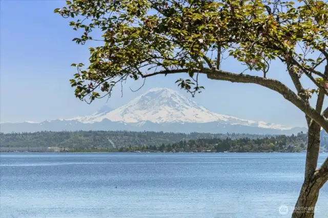 You're 5 minutes from Seward Park and incredible views!