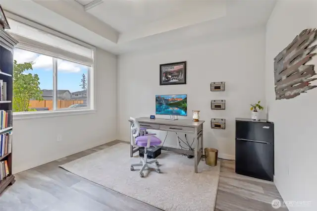 Downstairs office/bedroom