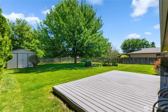 Dog kennel and garden shed