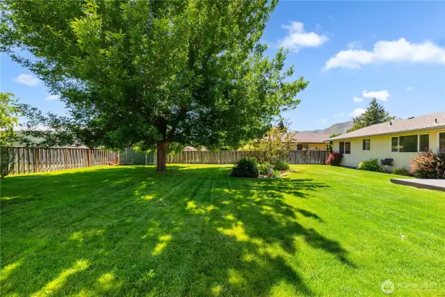 Wow yard!