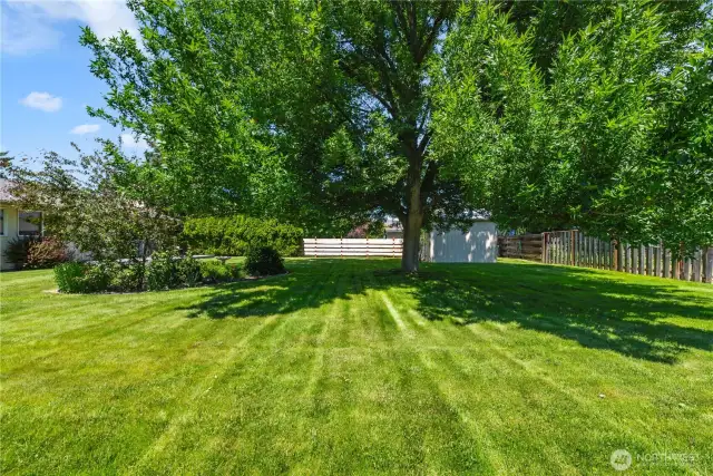 And more yard!