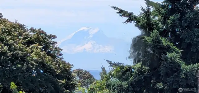 Mount Rainier in all its glory!