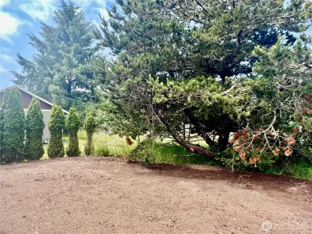 Back yard  has mature trees