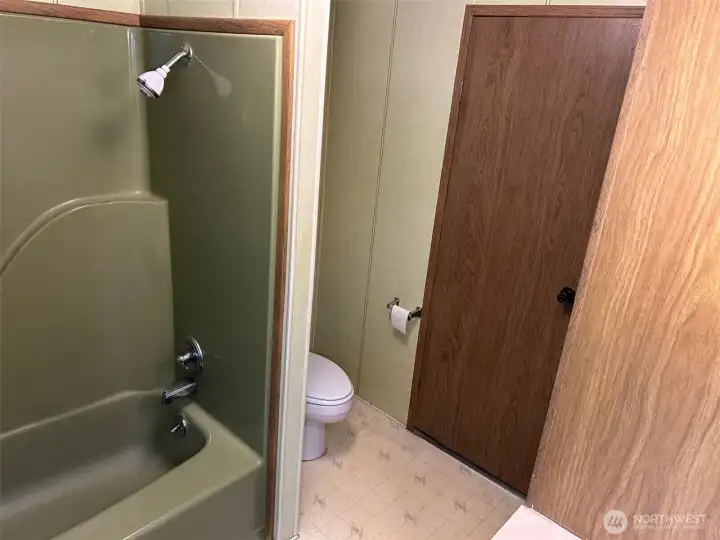 Full tub, shower and toilet