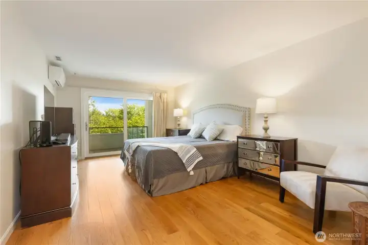 Primary bedroom with access to patio.