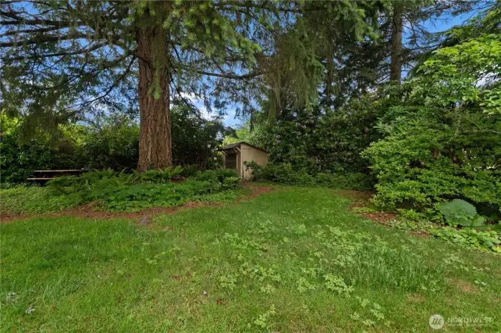 The back yard features several outbuildings, including this chicken coop. The back yard features several outbuildings, including this chicken coop.