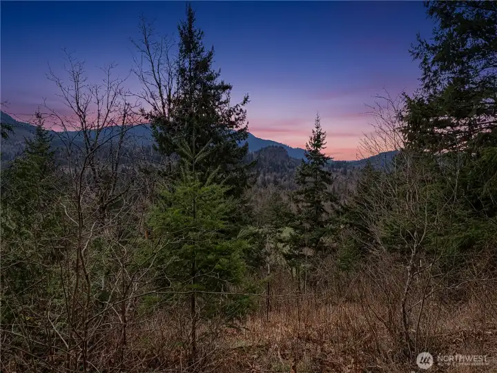 Fruit trees and organic garden beds—perfectly poised for a seasonal refresh