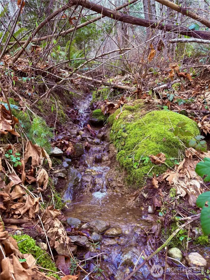 A small creek runs through the property with the perfect spot for a pond