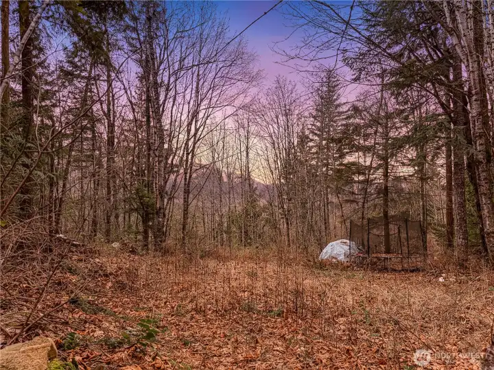 Chicken coop and trampoline