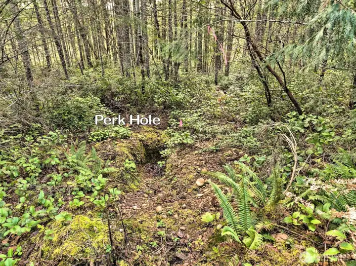 Perk Hole