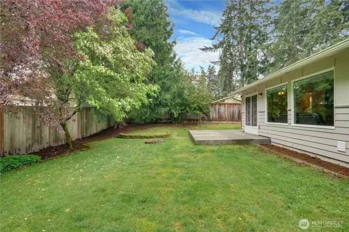 Spacious, flat, fully fenced backyard.