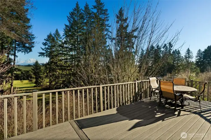 Gorgeous Mt Rainier Views!