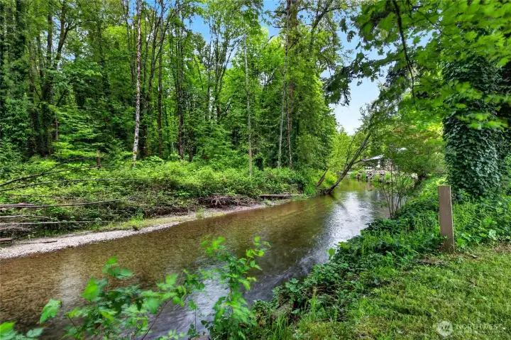 164' of Gorgeous Issaquah Creek frontage- fish from your yard!