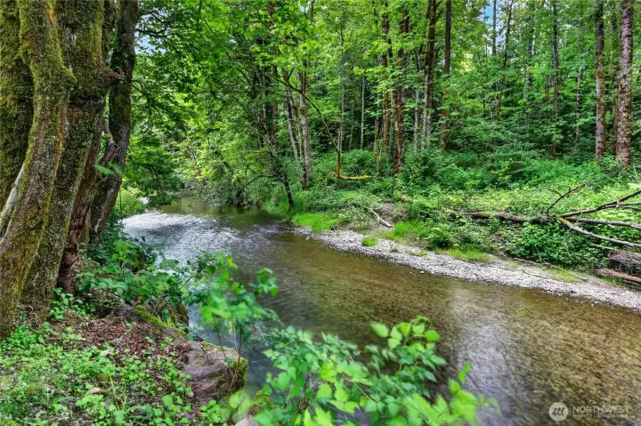 Property extends across the creek to the trail.