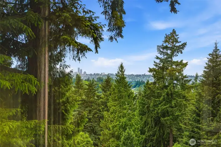 Private, Park-Like Setting with Picturesque Views
